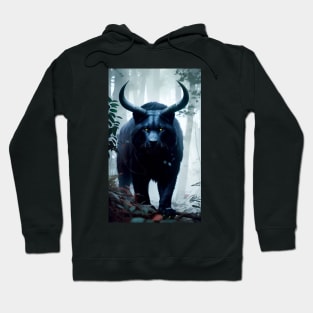 Wild Symphonic Musings Hoodie